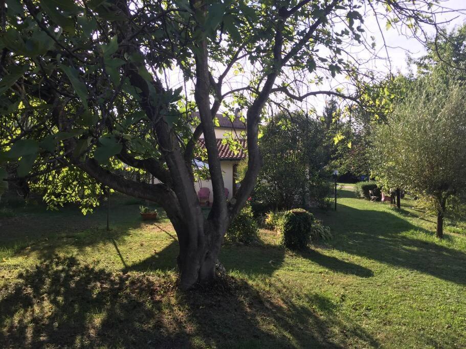 Chalet La Sequoia Orte Bagian luar foto